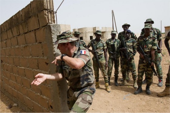 expert militaire armée