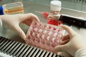 Guinée: un vaccin pour limiter l’épidémie de choléra?