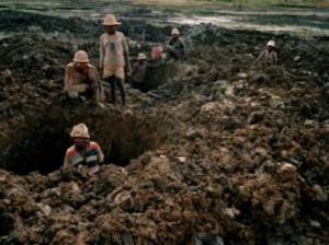 La biodiversité de Madagascar mise en danger par les mines artisanales