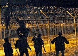 Afrique : Près de 500 clandestins entrent en Espagne