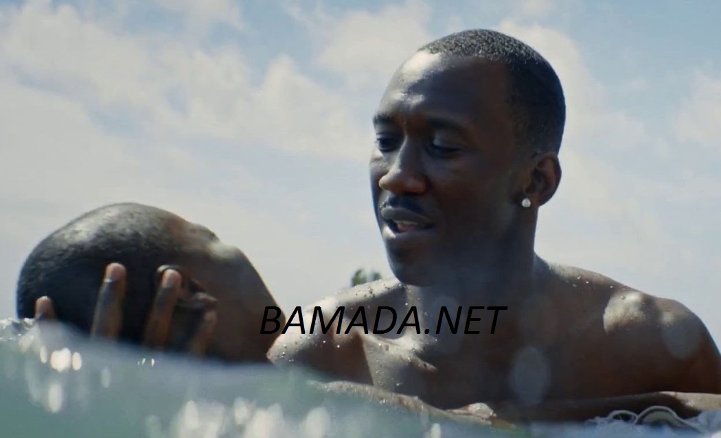 no image posts