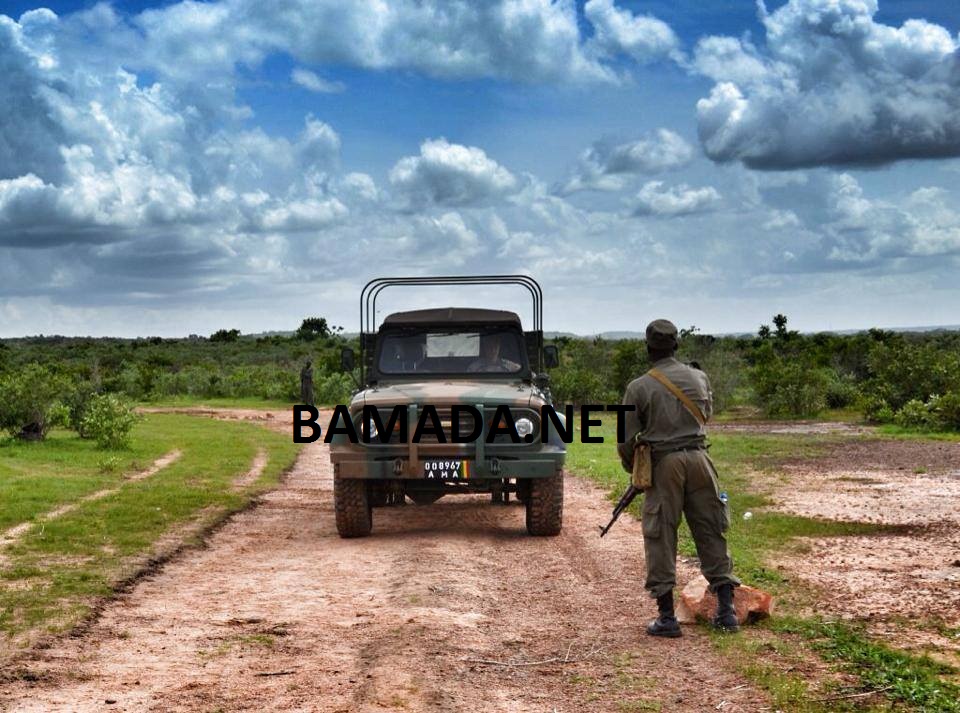 force armee malienne embuscade entrainement formation waraba equipement materiel militaire fama garde eucap eutm soldat