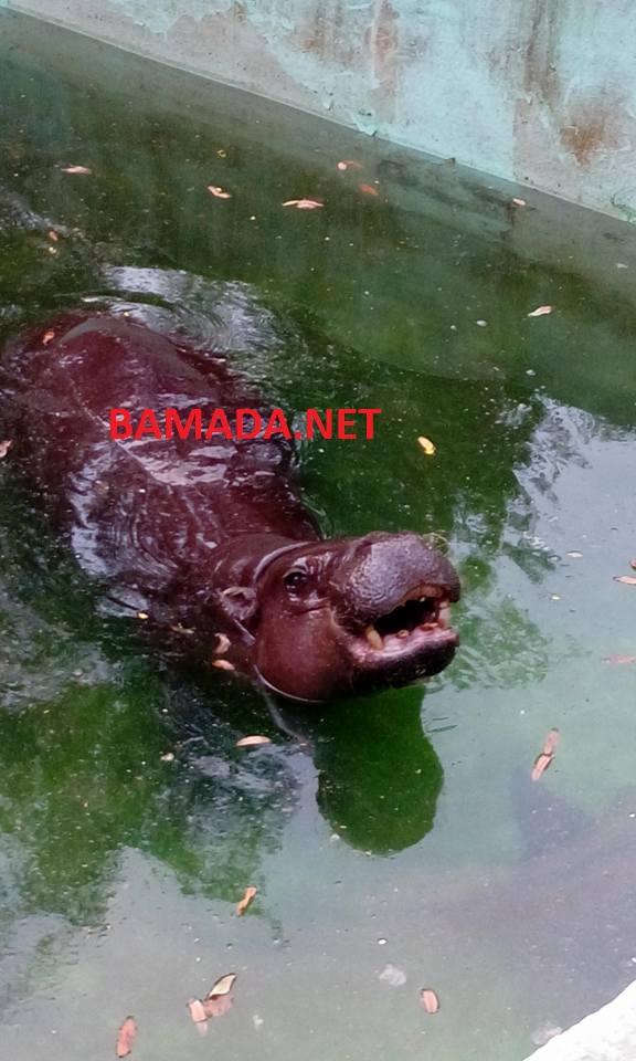 no image posts