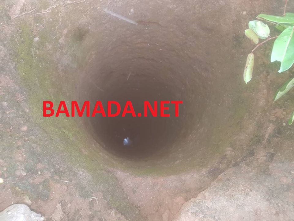 no image posts