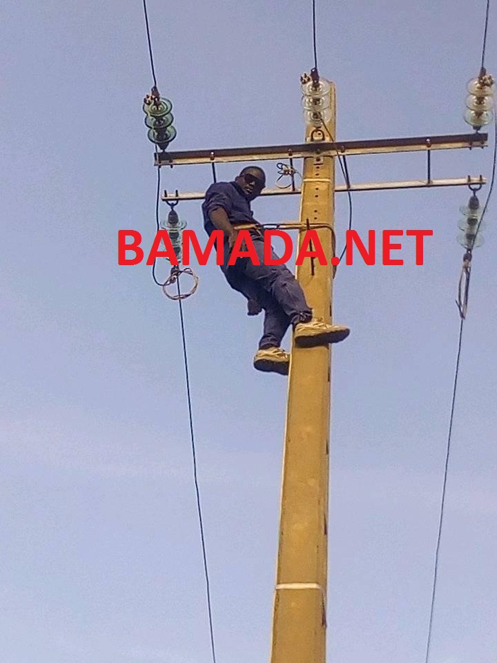 no image posts