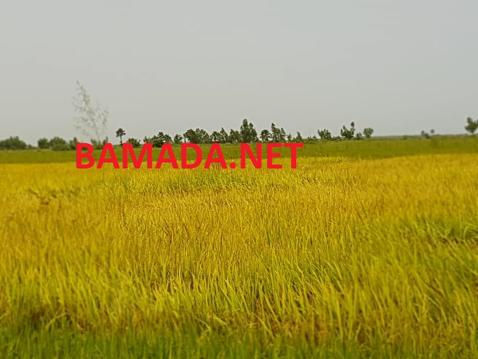 no image posts